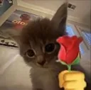 foryou