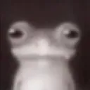 uh