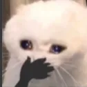 nescafe_Tony_cry