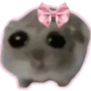 tony_pookie