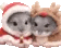 :foah: