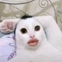 emoji_15