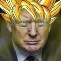 9272gokutrump custom emote - ＭＥＧＡ ＷＥＩＲＤＯ