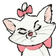 Marie the kitten with a smug expression and eyes closed, wearing a pink bow.