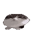 269_bouncy animated GIF emoji from Rabbit Hole