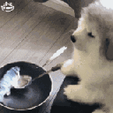 tsu_lamp_Cooking