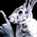 Rabbit holding a finger to its mouth in a shushing gesture against a black background.