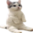 emoji_252 Discord Emoji - r/Lebanon