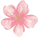 pinkflower Discord sticker | ⋆.˚໑ ݁༝ ۫ ׅ 𝐊𝐚𝐭𝐢𝐚'𝐬 𝐅𝐓𝐅 𝐆𝐫𝐢𝐧𝐝𝐢𝐧𝐠 𝐒𝐞𝐫𝐯𝐞𝐫 ⋆˚☀｡