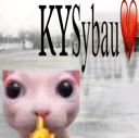 Bingus the hairless cat looking directly at the camera with a red heart and text overlay.