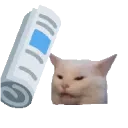 cat_bonk