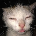 tsu_luna