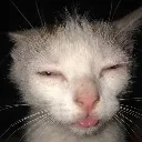 :tsu_luna: