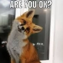 :AreYouOkay: