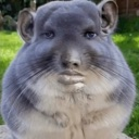 :emoji_56: