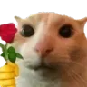 CatRose Discord emoji