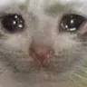 CatSad Discord emoji