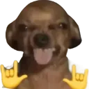 Dovi_chalchal