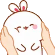 cc_bunnySquish