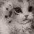 kittystim animated emote - Besties Community