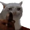 Cat_gun animated GIF emoji from 𝒯𝐻𝐸 𝑀𝒪𝐵