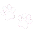 040_paws