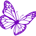 d_butterfly Discord emoji
