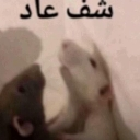 :__:
