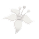 :FlowerSeedPack: