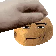 kiwipet