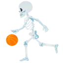 skullbasket