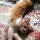 An orange and white tabby cat lying on its back on a patterned rug in a relaxed pose.