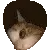 Emoji cat_lurk_hole