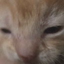 :struddle_eepy: