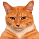Mog_cat