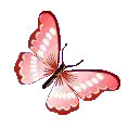 red_butterfly
