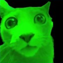 GreenCat custom emote from offqtz