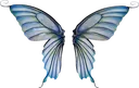 01wings