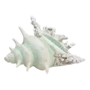 a_shell