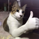 ThumbsupCat custom emote from MoneyHubOnline