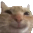 Happy Discord sticker | Lezbo Land