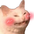 CattoBlush31 Discord Emoji | Lezbo Land