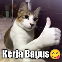 A cat with a human hand giving a thumbs up gesture with the text Kerja Bagus and a smiling face emoji below it.