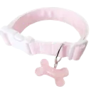 y_puppycollar