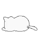 sleepykitty