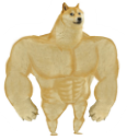 strong_doge Discord Emoji from /2k10/ (21+)