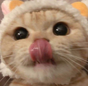 CAT_mlem