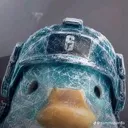 BlackIceDuck