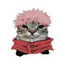 catji