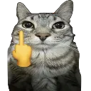 fuckoff